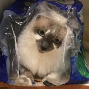 Meet your Posher, Ana